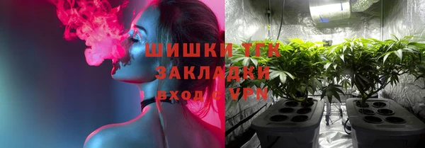 прущие крисы Белокуриха
