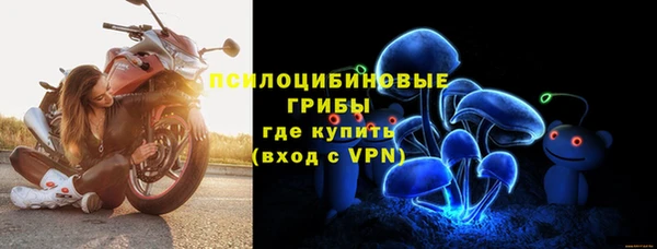 прущие крисы Белокуриха