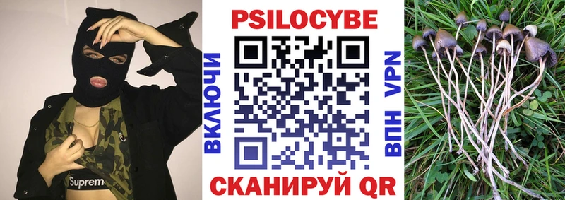 Купить где  Жуков  Галлюциногенные грибы Cubensis 